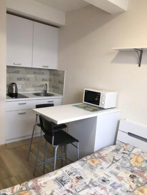 New and nice apartment in Kiev